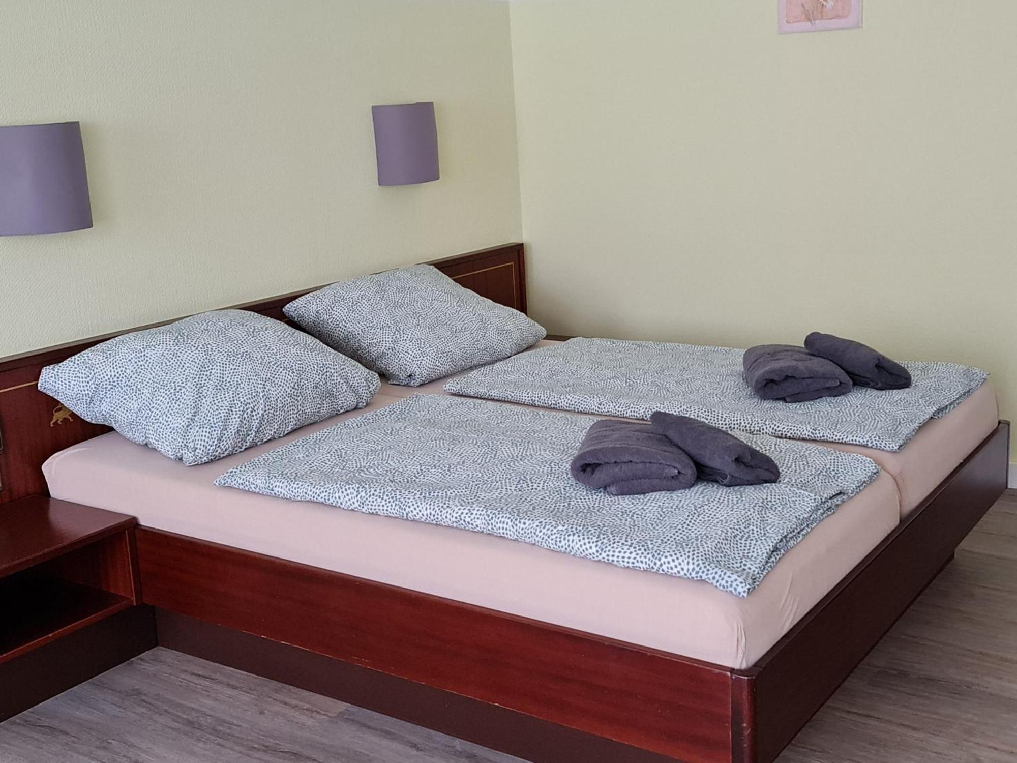 Hotel Goldener Loewe Zeulenroda-Triebes Екстер'єр фото